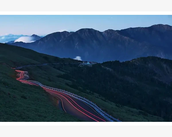 野草中的妙用：止咳化痰的神奇功效
