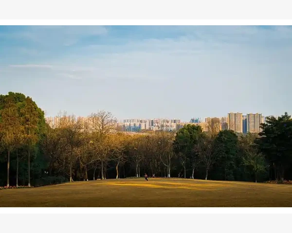 缺铁性贫血，吃什么好？- 中医科普探讨